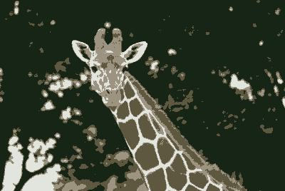 giraffe_4.png